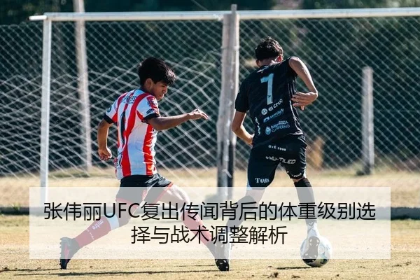 张伟丽UFC复出传闻背后的体重级别选择与战术调整解析